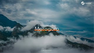 Things To Do In Morogoro.
