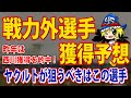 ヤクルトにハマる戦力外選手はこの選手です
