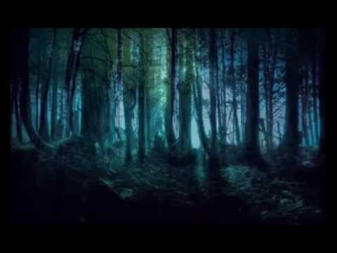 Walk in the rain by Passenger|| Forest images - YouTube