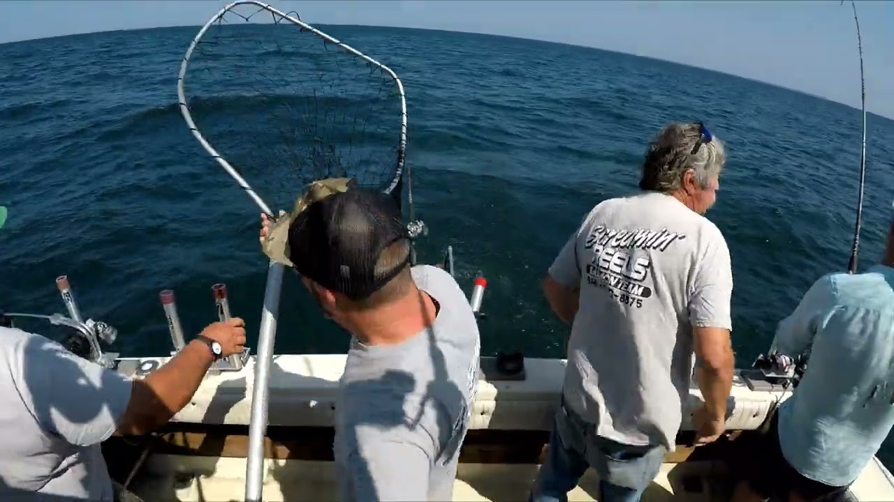 BIG TOURNAMENT WIN, Insane King Fishing on Lake Ontario with Team Screamin'  Reels 