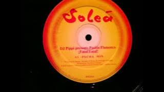 Download lagu DJ Pippi Pasion Flamenca Fatal Fatal Pacha Mix Solea