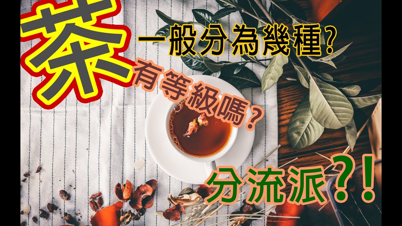 茶的六大種類,三大派,一次全介紹