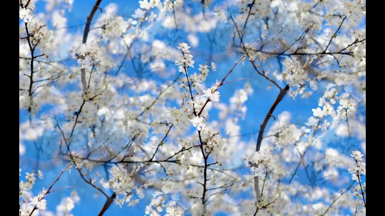 Mike Nero - Spring (Andy Jay Powell Remix)