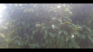 Bán 6,8ha có hơn 200m mặt tiền bêtông , suối, sầu riêng, măng cụt quá đẹp. Giá 22 tỉ. 0974.391.659.