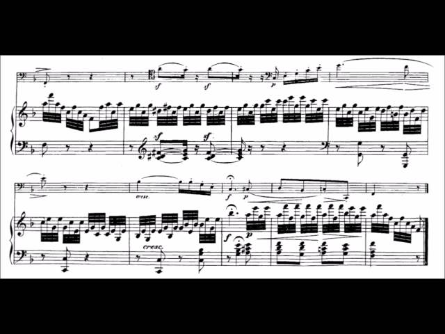 Beethoven - Variations sur "Ein Mädchen oder Weibchen" de Mozart : P.Wispelwey / D.Lazic