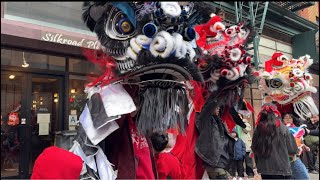 2025 Queens Lunar New Year Parade and Celebration | New York City LIVE