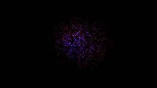 Spinline - Run
