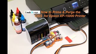 How to Prime & Purge the CISS for Epson XP15000 Printer