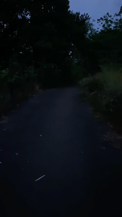 Evening vibe #NightAtmosphere #Nocturnal #EveningMood #StarryNight #ambiancesounds