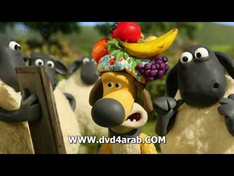Shaun The Sheep S03E13 Avi 