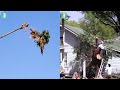 Lumberjack fails 2021  arborist hard day  funny compilation  artistics