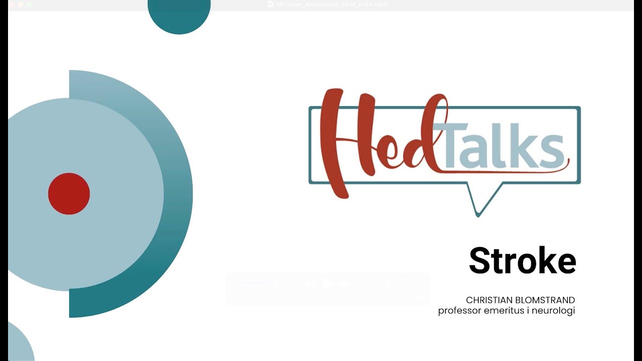 Hjärnan är fantastisk – men också sårbar