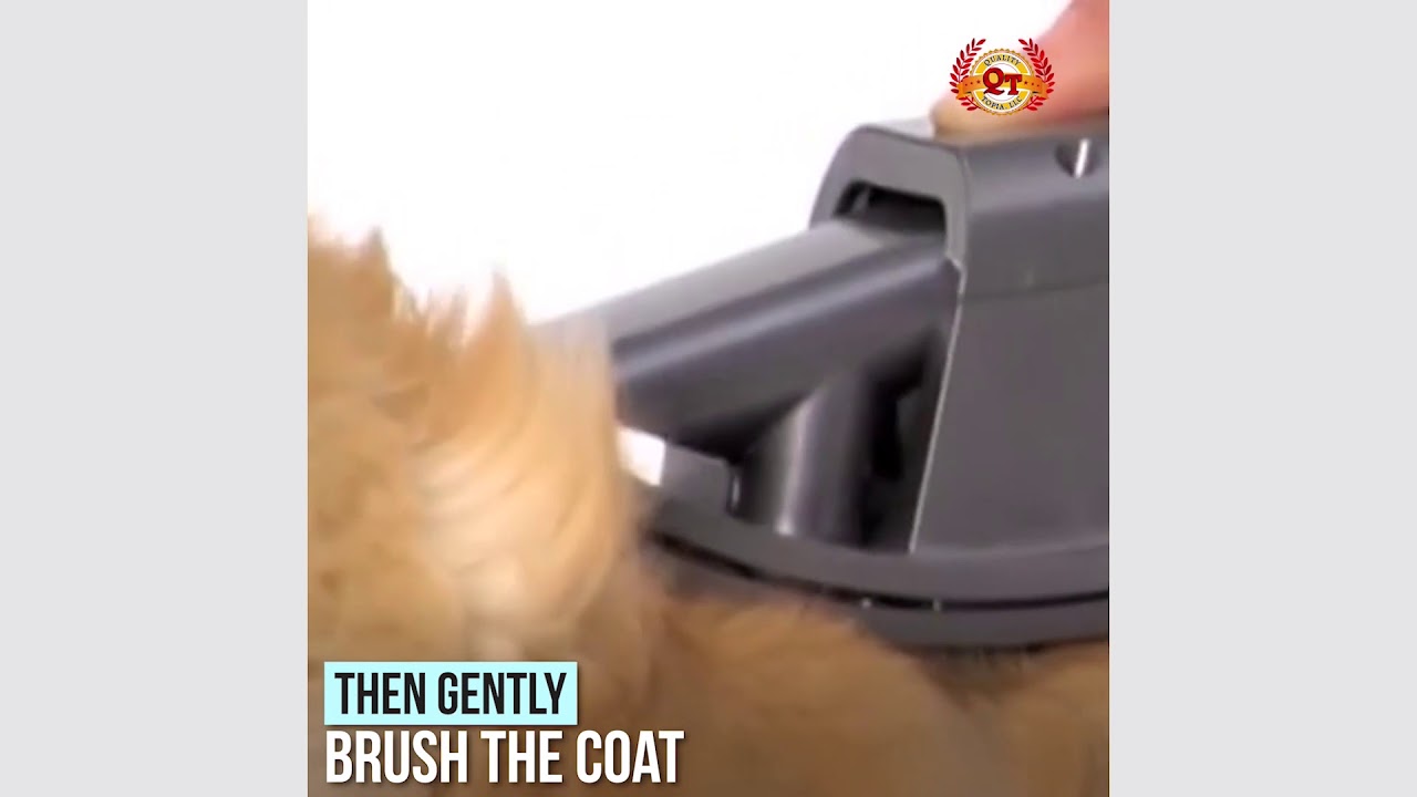 Dog Pet Groom Tool Long Haired Dog Grooming Tools Coat