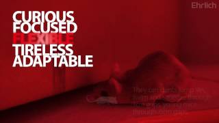 The Science of Mouse Control