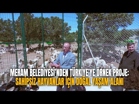 Konya Meram Belediyesi’nden Türkiye’ye örnek proje: Sahipsiz hayvanlar için doğal yaşam alanı