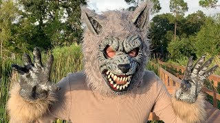 Werewolf Sneak Attack - Kids Fight   Hide & Seek