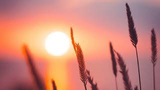 видео: Зинақорлық. Жаңа уағыз. Ұстаз Ерлан Ақатаев. Көз зинасы. картинка: Зинақорлық. Жаңа уағыз. Ұстаз Ерлан Ақатаев. Көз зинасы.