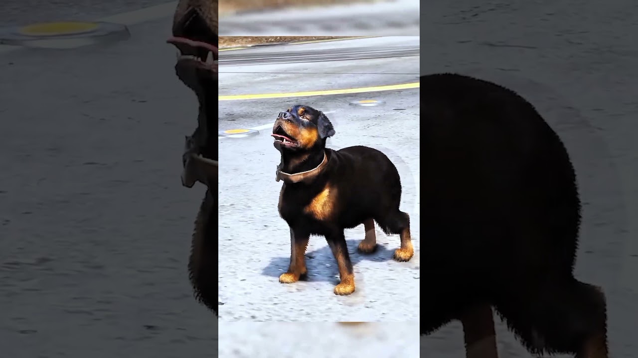 GTA 5: DOG TEACH US LOVE IN ITS PUREST FORM ❤️😍