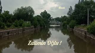 Rojda Zalimo / Türkçe Altyazılı  #müzik #şarkıçevirisi #youtube #love #keşfet Resimi