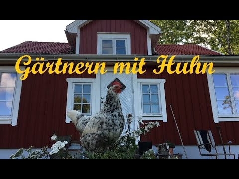 Gärtnern mit glücklichen Hühnern und nostalgische Schätze aus