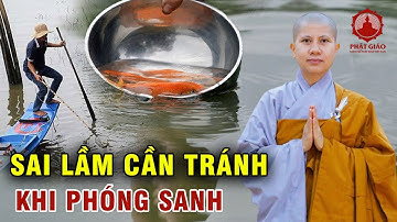 Sai lầm cần tránh khi phóng sanh | SC Giác Lệ Hiếu | PGVN