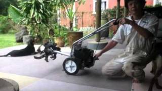 starting masport cultivator tiller