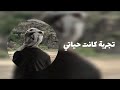 تجربة كانت حياتي النسخة الأصلية مع الكلمات تجربة كانت حياتي النسخة الأصلية مع الكلمات