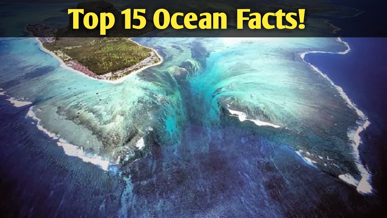 Interesting Facts About Oceans Just Fun Facts Kulturaupice