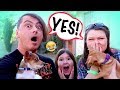 MOM &amp; DAD CAN&#39;T SAY NO!~Kids in Charge for 24hrs!