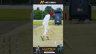 Hexgen Matrix - Cricket Simulator