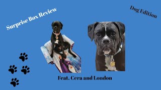 Scentsy Woof Box Review