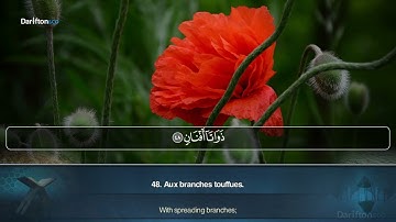 Sourate Ar Rahman - Bader Alnufais سورة الرحمن بدر عبدالعزيز النفيس