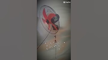 Quạt Treo Tường Senko TC16 đời 2011