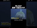 クジラ超え？ キタユウレイクラゲが大きすぎる #動物 #生き物 #解説