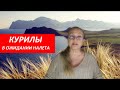 КУРИЛЫ в ожидании  № 3578