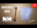 Humerus Bone | Part 1 | Side Determination, External features and Attachment | TCML