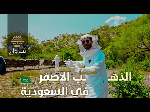 اغلى وافضل انواع العسل في العالم | موجود في السعودية