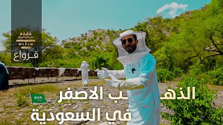 اغلى وافضل انواع العسل في العالم | موجود في السعودية