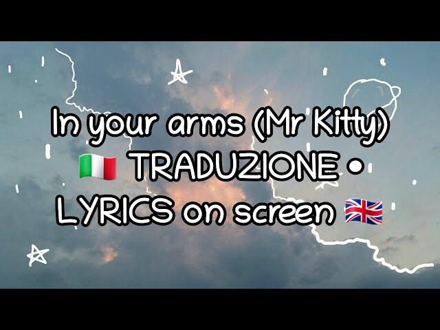 TRADUZIONE • LYRICS • Mr. Kitty - In your arms 