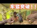 【激アツ!】警察署の牢獄を突破しAKマシンガンを手に入れろ!【7Days to Die】