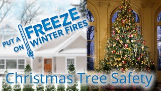 Christmas tree safety - Put a Freeze on Winter Fires