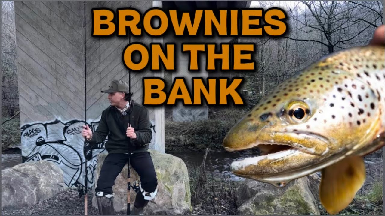 B.O.T.B #04 - Brownies On The Bank