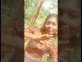 🤎🌷!! #shortvideo