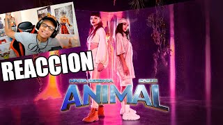 REACCION A Maria Becerra, Cazzu - ANIMAL (Official Video)