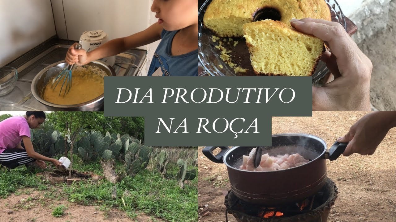 Dia Produtivo na Roça 🌿 Adubando Pés de Fruta + Banha de Porco e Bolo de Limão Caseiro