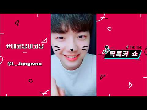【Tik Tok】【抖音】韓國抖音最近流行的歌曲.flv