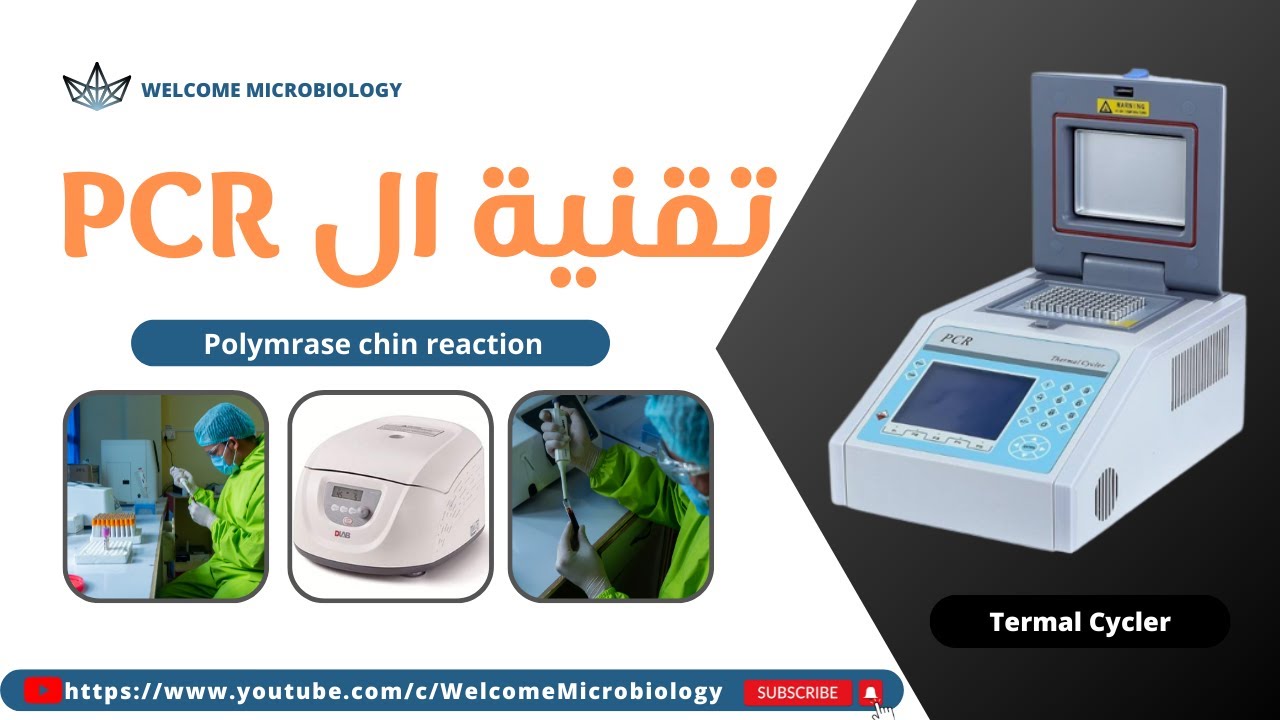 شرح تقنية PCR للكشف عن الفيروسات بالتفصيل | مبدأ العمل، أنواع الـ PCR ...