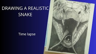 Drawing a realistic snake - Time lapse