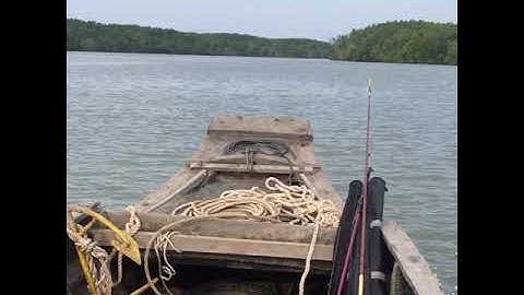 Chuyến câu cá bông lau Rừng Sác, Cần Giờ