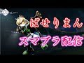 【スマブラSP】ノーマルVIP